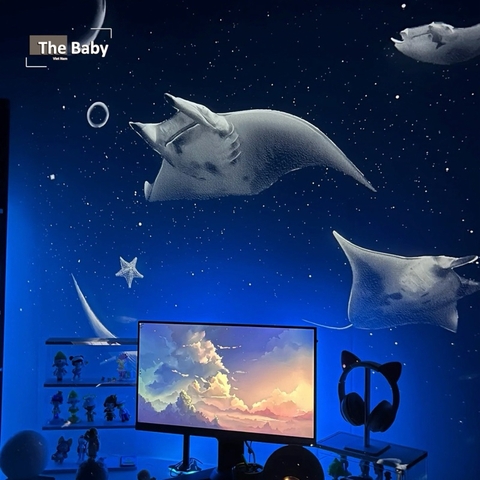 Đèn chiếu Pococo Ocean nhập khẩu cao cấp / Pococo Ocean Lamp