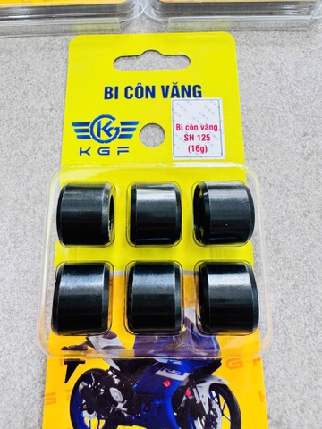 Bi Côn