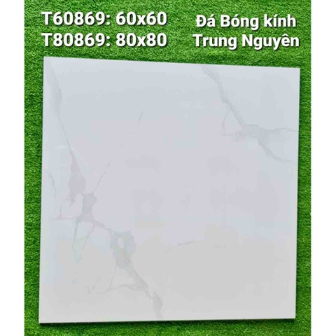 Gạch lát bóng kiếng Trung Nguyên Việt Nam 60 x 60 - T60869