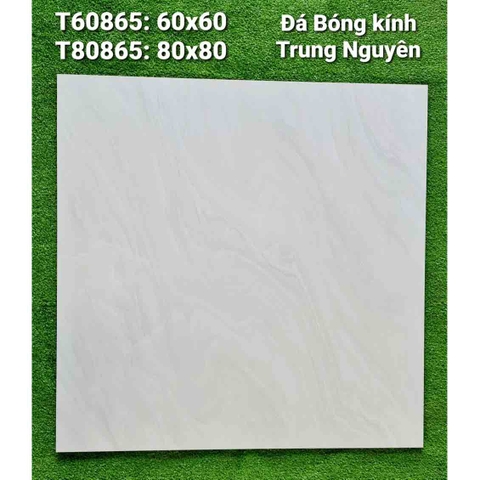 Gạch lát bóng kiếng Trung Nguyên Việt Nam 60 x 60 - T60865