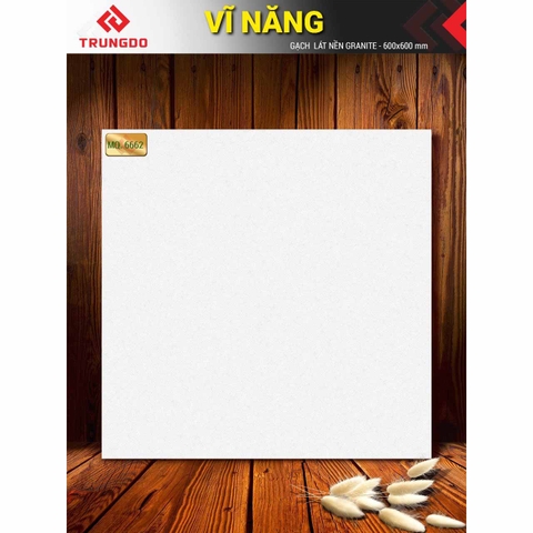 Gạch lát nền mờ 02 Trung Đô 60 x 60