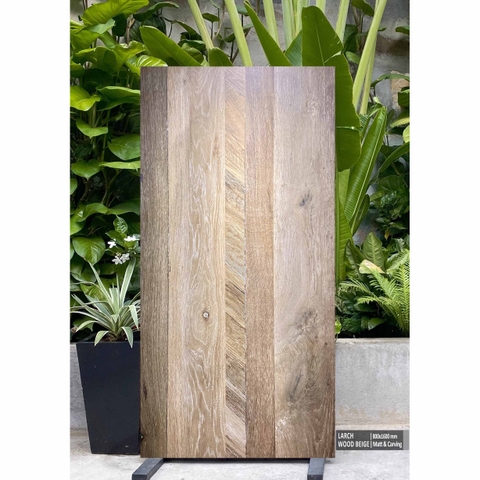 Gạch 60x1.2 Ân Độ 4