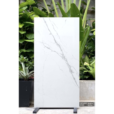 Gạch 60x1.2 Ân Độ 6
