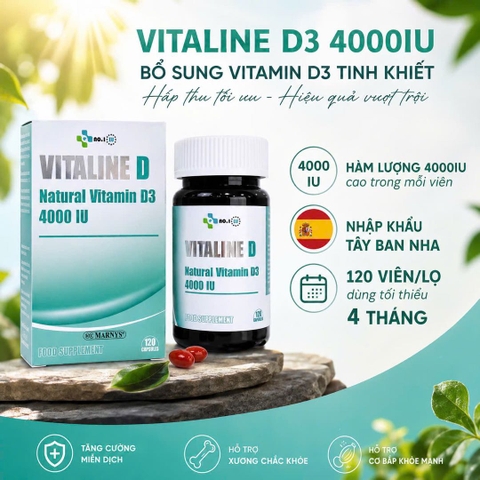 VITALINE D – Viên uống bổ sung Vitamin D3