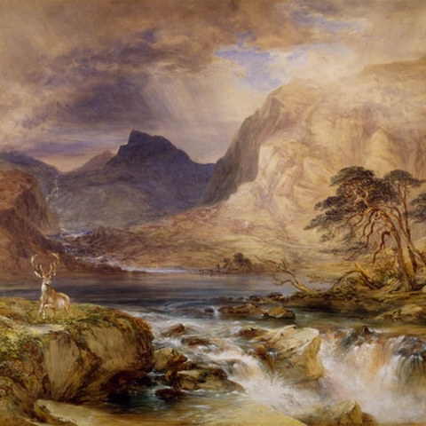 Non - Fiction Collection