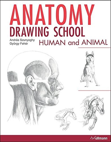 Anatomy Drawing School: Human And Animal Anatomy Drawing School: Human And Animal