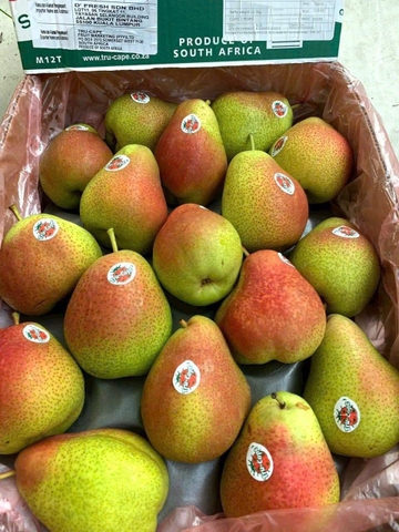 LÊ NAM PHI TRUCAPE 1KG