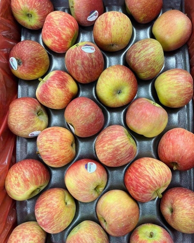 TÁO FUJI NAM PHI KROMCO 1KG