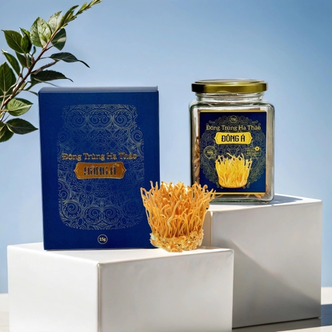 ĐÔNG TRÙNG HẠ THẢO ĐÔNG Á