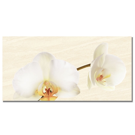 Gạch Thạch Bàn TKP36-008-21