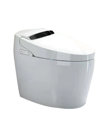 Bồn Cầu Liền Khối TP - 9902BVRN