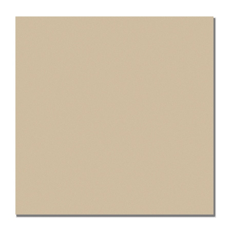 Gạch lát sàn Viglacera Ceramic 60×60 TS5-602