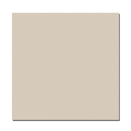 Gạch lát sàn Viglacera Ceramic 60×60 TS5-601