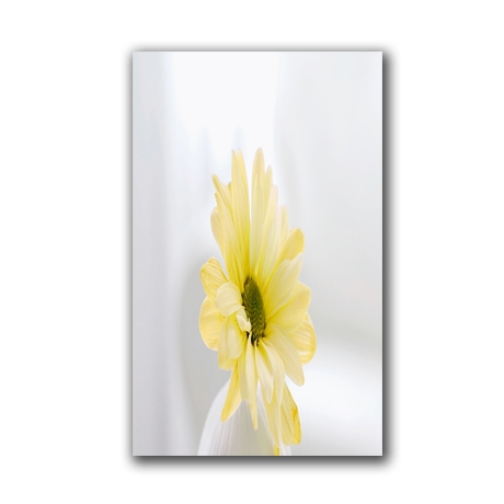 Gạch Thạch Bàn TIP36-006-21