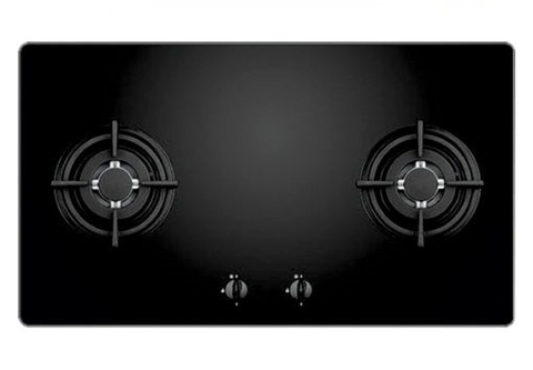 Bếp gas âm FS – 202GB