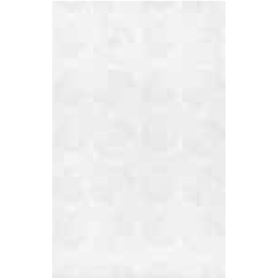 Gạch Đồng Tâm 25×40 2540SPIRAL004