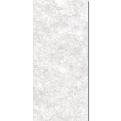 Gạch Đồng Tâm 2560ANDES001