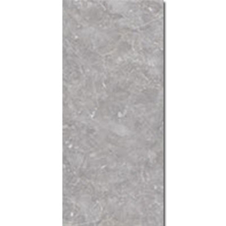Gạch Đồng Tâm 2560ANDES002
