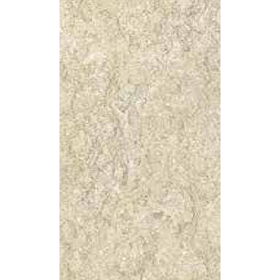Gạch Đồng Tâm 30×60 3060FOSSIL002