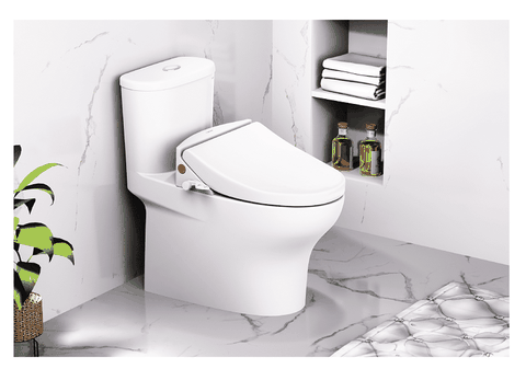 Bàn cầu kết hợp nắp cơ CD1394 -TAF050