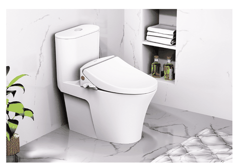 Bàn Cầu Một Khối kết hợp nắp cơ - CD1395 - TAF050