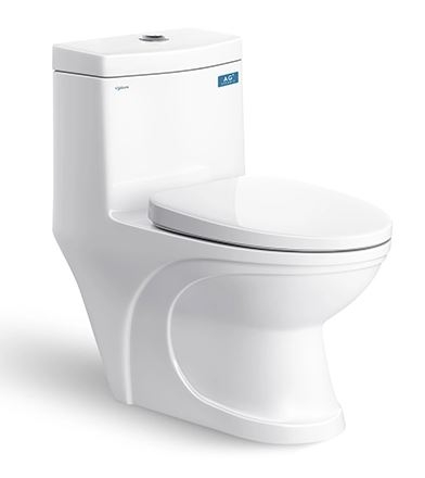 BỒN CẦU 1 KHỐI VIGLACERA V39