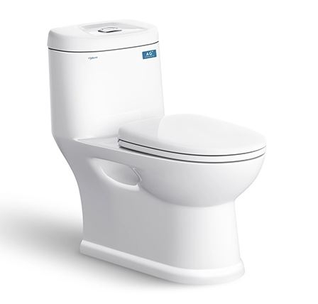 BỒN CẦU 1 KHỐI VIGLACERA C109