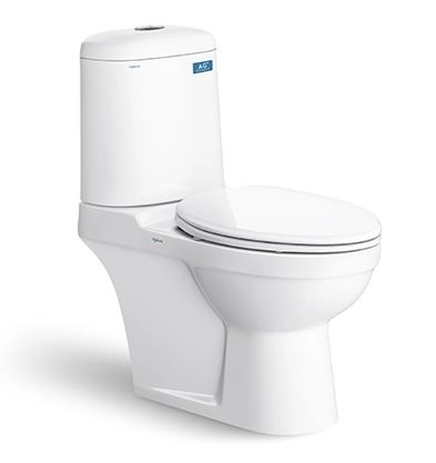 BỒN CẦU 2 KHỐI VIGLACERA VI107