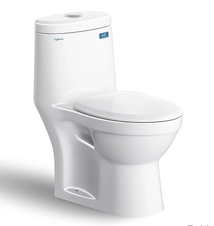 BỒN CẦU 1 KHỐI VIGLACERA BTE