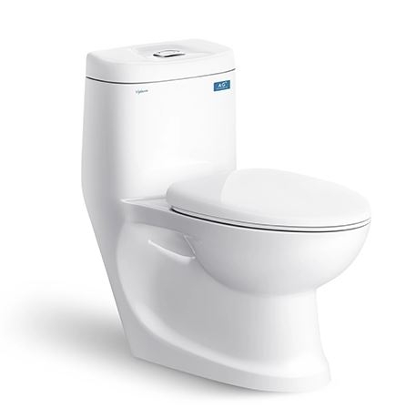 BỒN CẦU 1 KHỐI VIGLACERA C0504