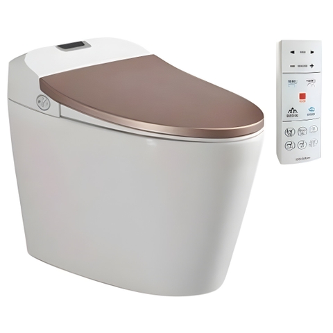 BÀN CẦU V-SMART V94.GW