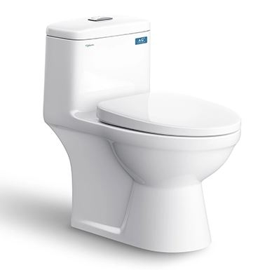 Bồn Cầu Liền Khối Viglacera BL5V