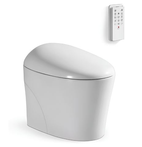 BÀN CẦU V-SMART V95