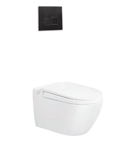 BỒN CẦU ÂM TƯỜNG VIGLACERA V51KA