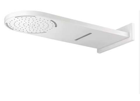 Bát sen mưa gắn trần có đèn Led COTTO - Z23#WH(HM)