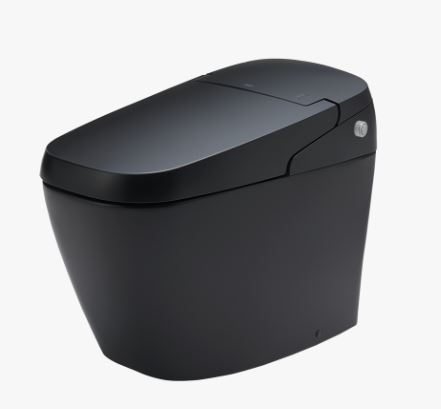 Bồn cầu thông minh Inax AC-G216VN/BKG