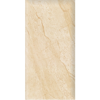 Gạch ốp Viglacera Ceramic 30×60 – KT3607