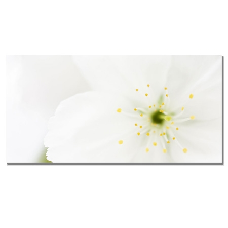 Gạch Thạch Bàn THP36-006-31