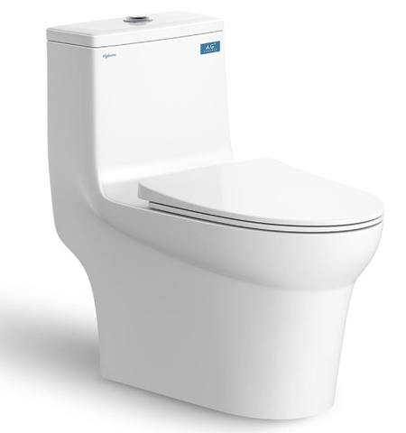 BỒN CẦU 1 KHỐI VIGLACERA V65