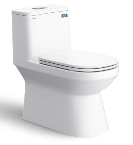 Bàn cầu một khối V816