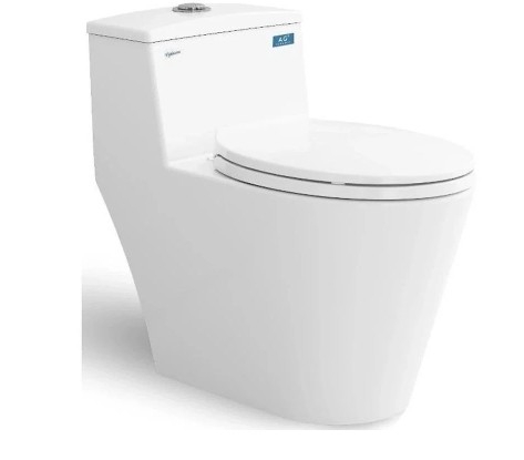 Bàn cầu một khối V823