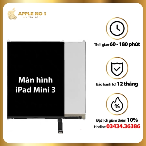Thay màn hình iPad Mini 3