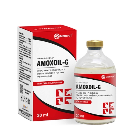 AMOXOIL-G