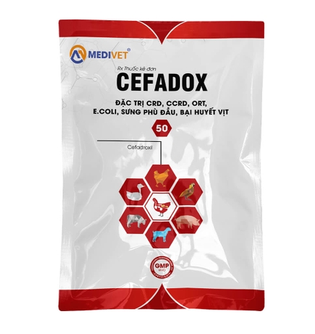 CEFADOX 50