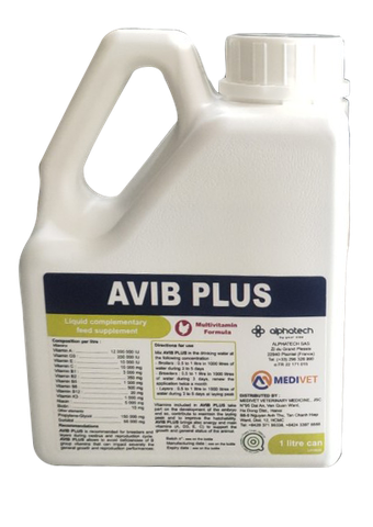 AVIB-PLUS