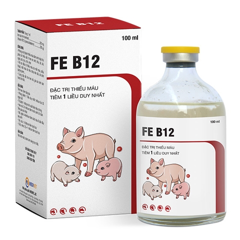 FE B12
