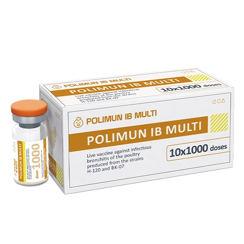 POLIMUN IB MULTI