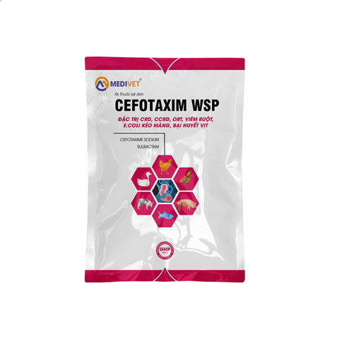 CEFOTAXIM WSP