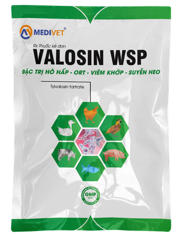 VALOSIN WSP