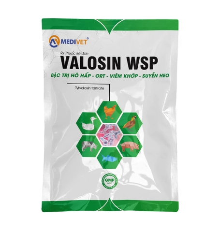 VALOSIN WSP